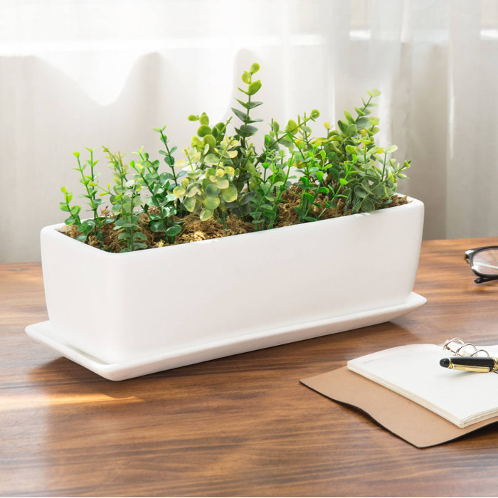 Latitude Run® Ceramic Planter Box & Reviews Wayfair